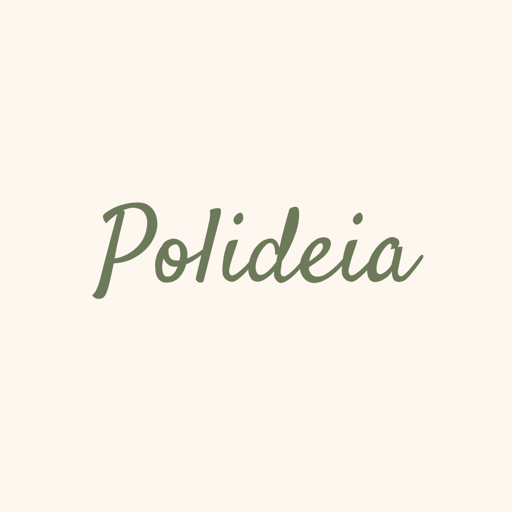 Polideia - Capas para Sofás e Manta para Sofá