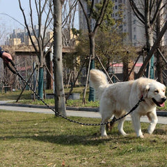 Proporcione liberdade segura para seu cão com o Guia até 80kg. Resistência, estilo e conforto em cada passeio