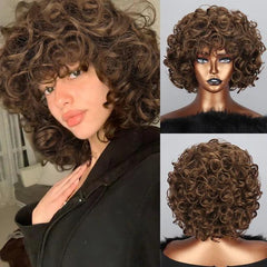 Polideia Lace Cabelo Humano Cacheado Curto barato lace front cia dos cabelos onde comprar lace peruca lace wigs