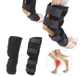 Um cachorro deitado em uma cama com um protetor de jarrete azul no calcanhar.