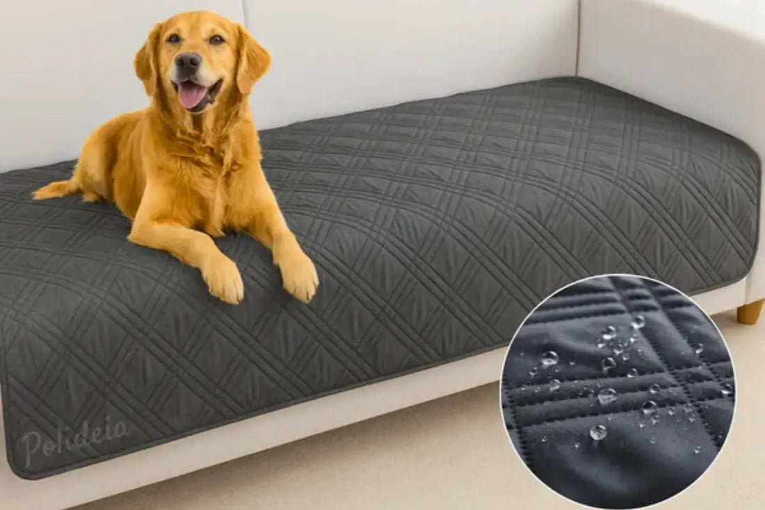 Capas para Sofás Impermeáveis