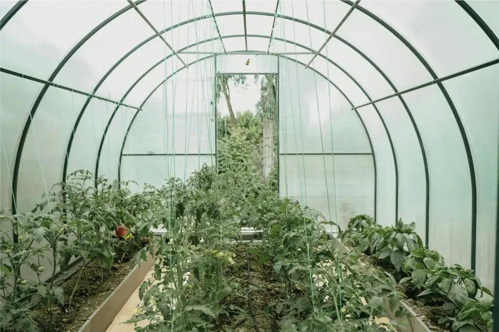 Tela para estufa de plantas anti pássaros