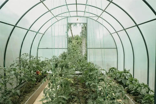 Tela para estufa de plantas anti pássaros