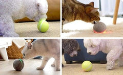 Brinquedo Interativo para Gatos com Luz e Catnip - Brinquedo Interativo para Gatos com Luz e Catnip - Default Title - Polideia