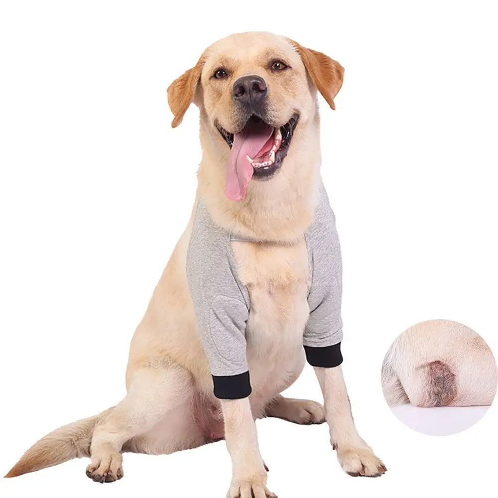 Protetor de Cotovelo para Cães: Previna lesões com conforto ajustável. Ideal para todas as raças. Proteja seu melhor amigo com Higromas.