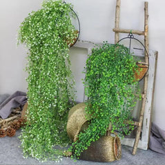 Planta Artificial Pendente de 80cm decorando parede com elegância.