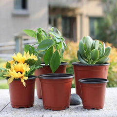 Vaso Pequeno Flexível para Plantas - Vaso Pequeno Flexível para Plantas - 20pcs / 10cm - Polideia