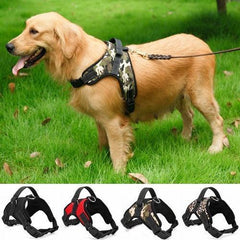 Polideia compre melhor coleira peitoral colete peitoral para cachorro grande com guia barato