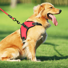 Polideia compre melhor coleira peitoral colete peitoral para cachorro grande com guia barato