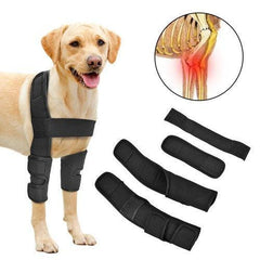 Polideia compre melhor Cotoveleira para Cachorros Ortopédica Bilateral direito e esquerdo órtese para cachorro pet barato