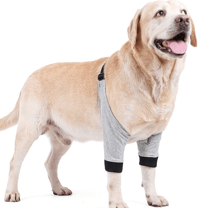 Protetor de Cotovelo para Cães: Previna lesões com conforto ajustável. Ideal para todas as raças. Proteja seu melhor amigo com Higromas.