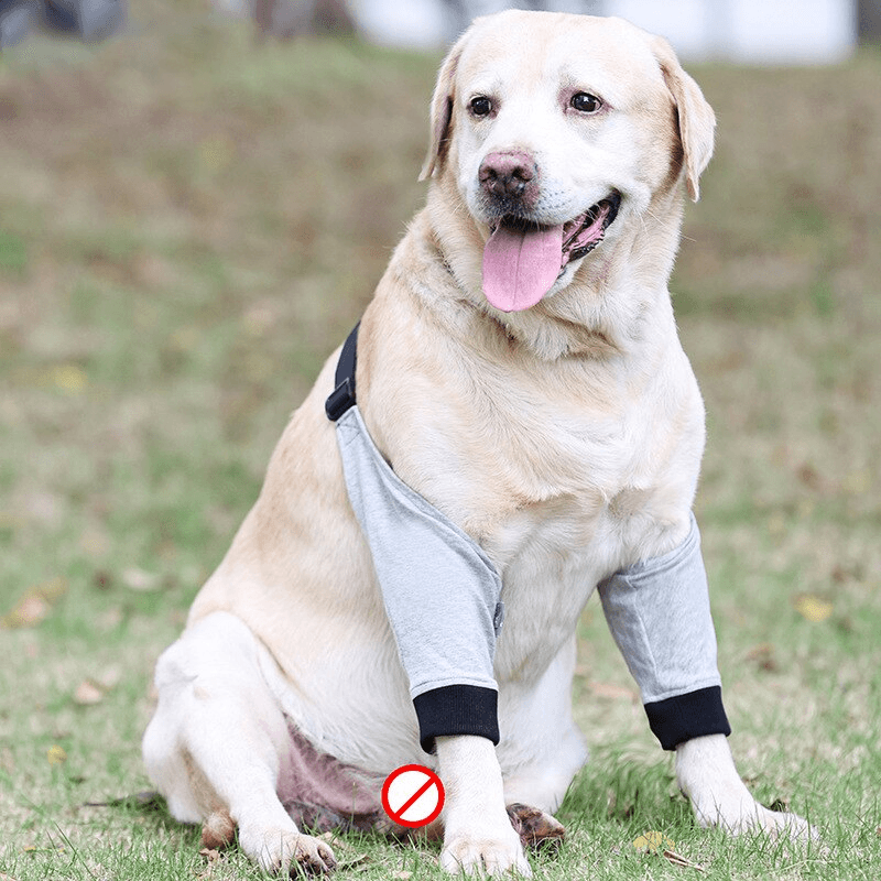 Higromas - Protetor de Cotovelo para Cães - Polideia