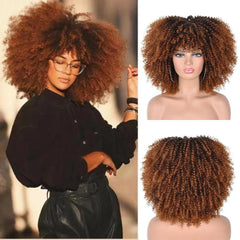 Polideia comprar Lace Cacheado preço , lace wigs, peruca cabelo humano, lace cabelo humano barato