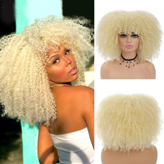 Polideia comprar Lace Cacheado preço , lace wigs, peruca cabelo humano, lace cabelo humano barato