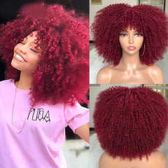 Polideia comprar Lace Cacheado preço , lace wigs, peruca cabelo humano, lace cabelo humano barato