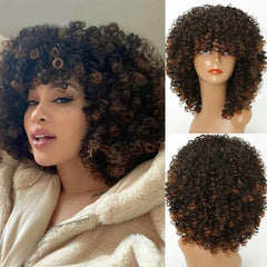 Polideia lace cabelo humano lace front lace cacheada lace cacheado lace cabelo humano cacheado cacheado loiro