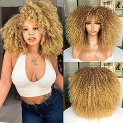 compre Lace Cacheada Cabelo Curto Afro barato preço peruca cacheada barato peruca cabelo humano
