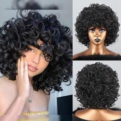 Polideia Lace Cabelo Humano Cacheado Curto barato lace front cia dos cabelos onde comprar lace peruca lace wigs