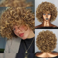 Polideia Lace Cabelo Humano Cacheado Curto barato lace front cia dos cabelos onde comprar lace peruca lace wigs