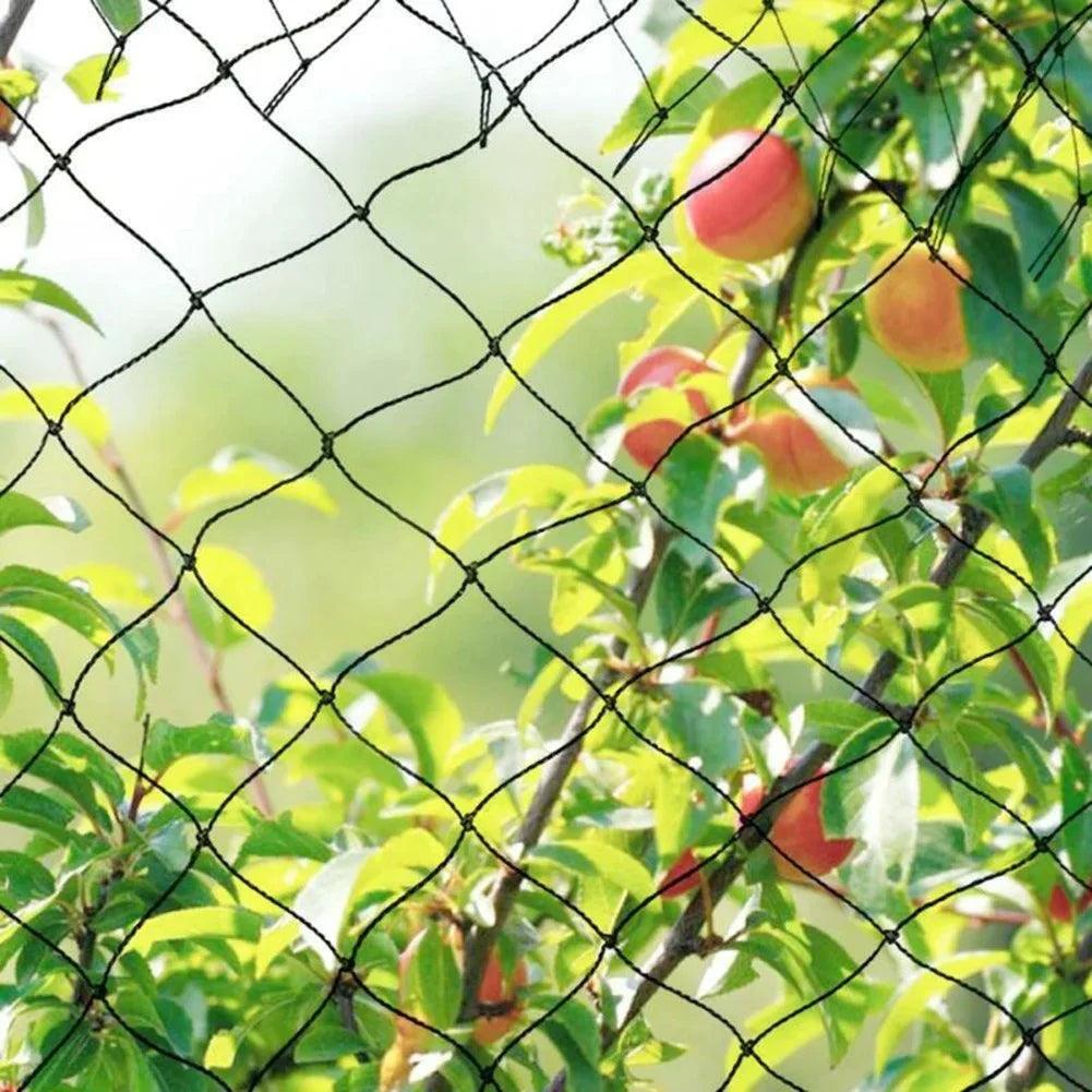 Garanta proteção para suas plantas com a Tela Anti Pássaros: malha resistente para jardins exuberantes e quadras esportivas impecáveis