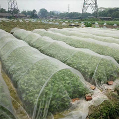 Defenda suas plantas com nossa Tela Anti Pássaros de alta qualidade. Garanta crescimento saudável e duradouro. Proteção confiável contra insetos.